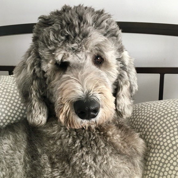 Meet the Posher - Picture 4 of 7